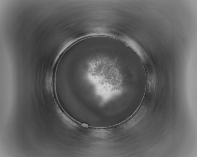 X0000112831100200908281526