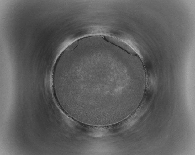 X0000112831101200908281526