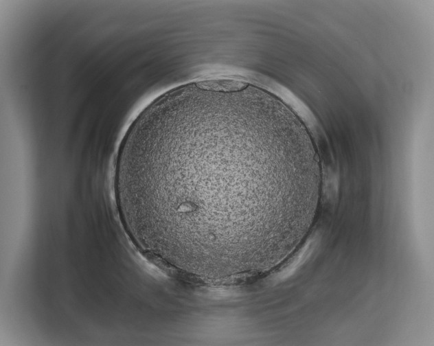 X0000112831102200908281526