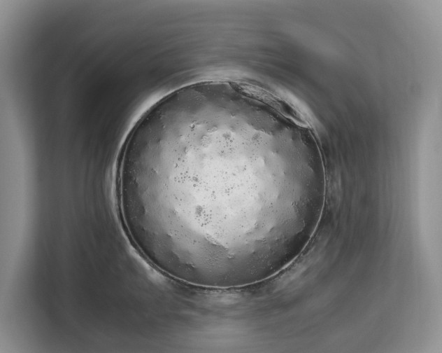 X0000112831103200908281526