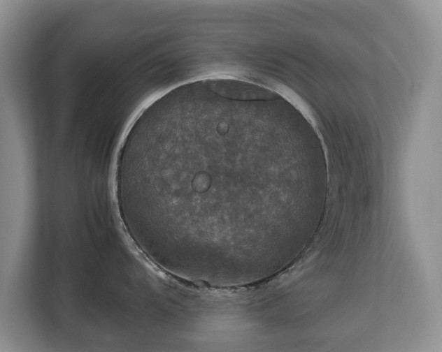 X0000112831104200908281526