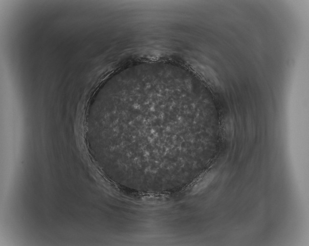 X0000112831105200908281526