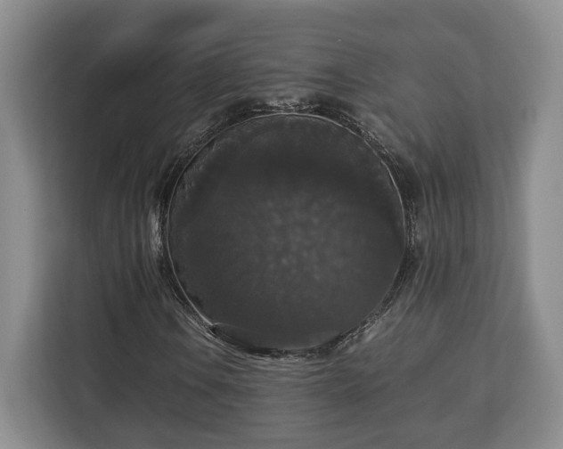 X0000112831106200908281526