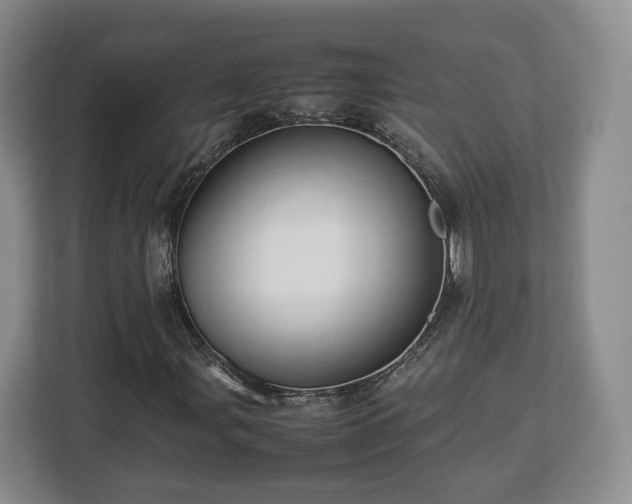 X0000112831107200908281526