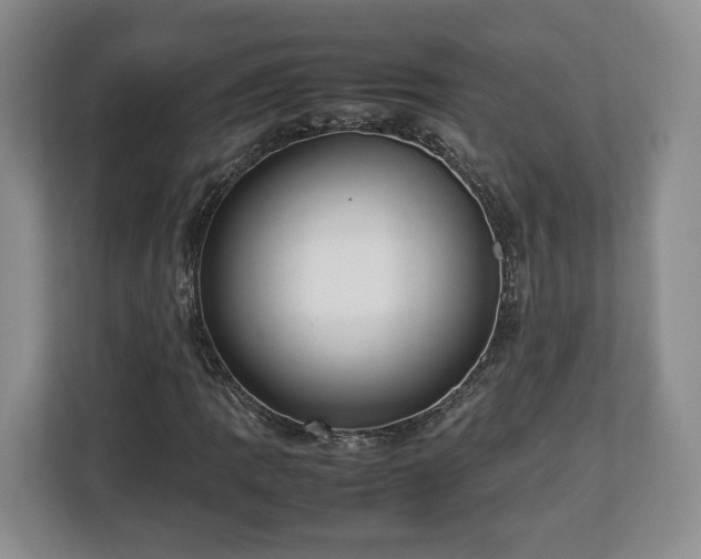 X0000112831109200908281526