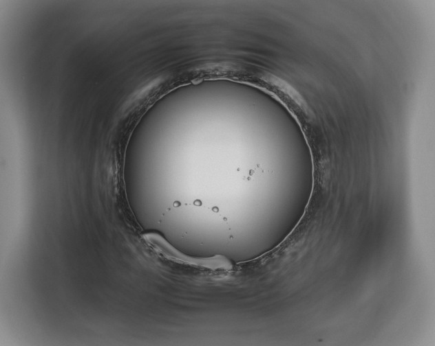 X0000112831111200908281526