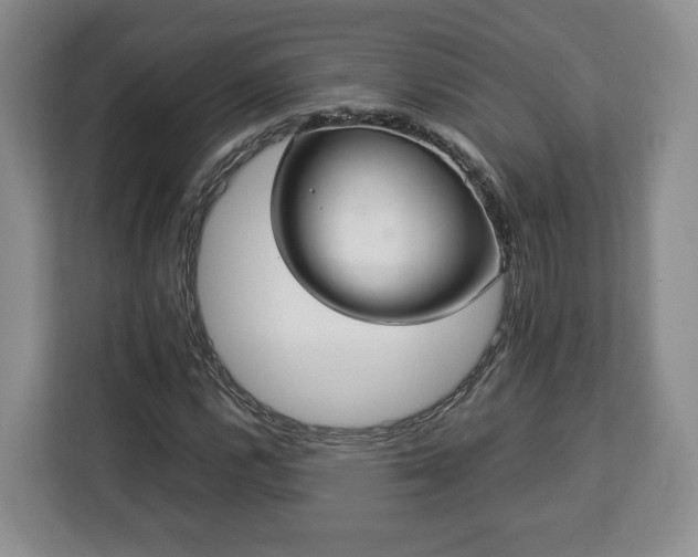 X0000112831112200908281526