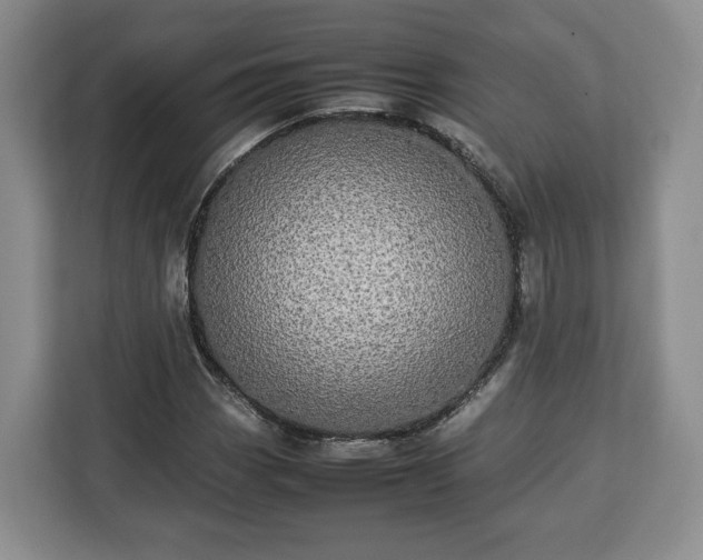 X0000112831113200908281526