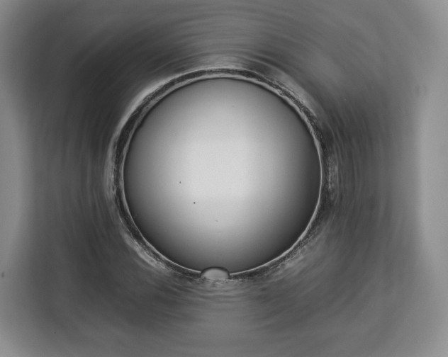 X0000112831116200908281526