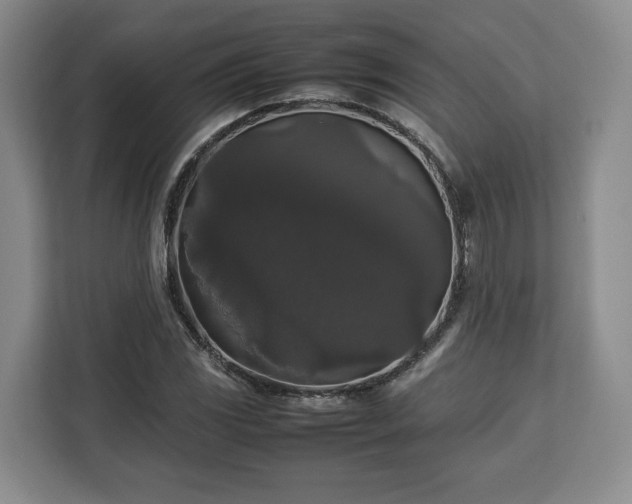 X0000112831117200908281526