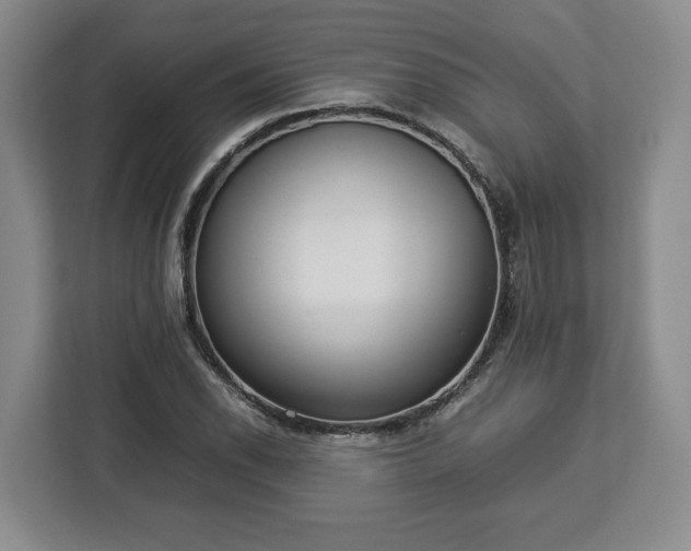 X0000112831118200908281526