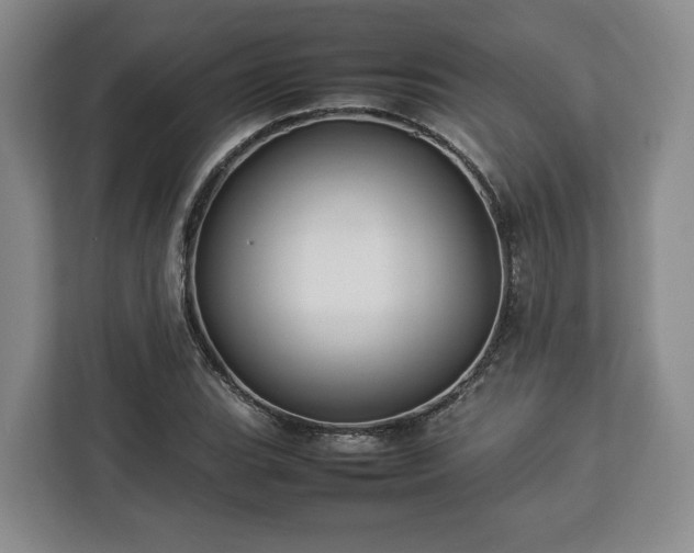 X0000112831119200908281526