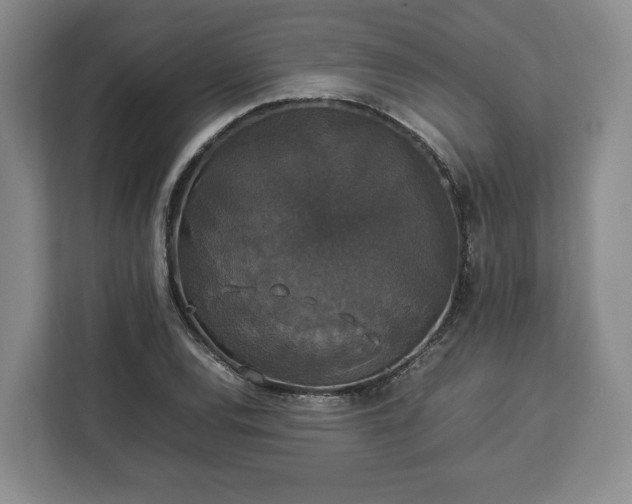 X0000112831120200908281526