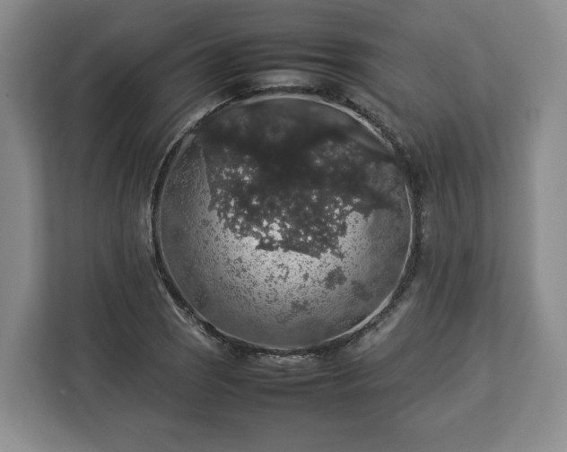 X0000112831121200908281526