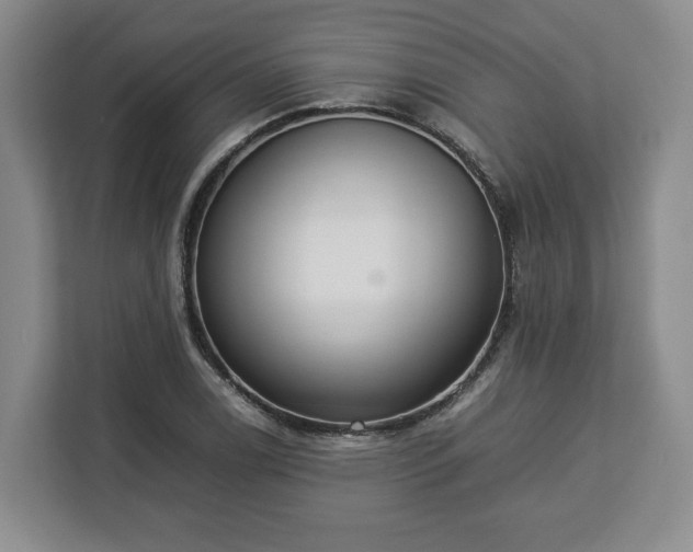 X0000112831122200908281526