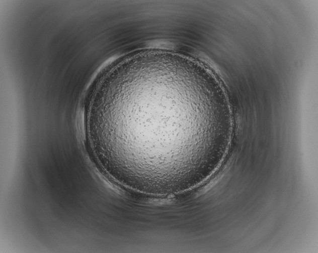 X0000112831123200908281526