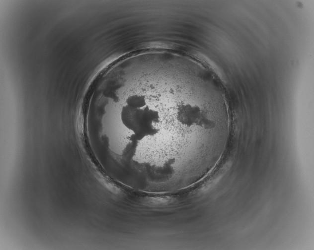 X0000112831125200908281526