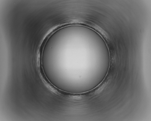 X0000112831126200908281526