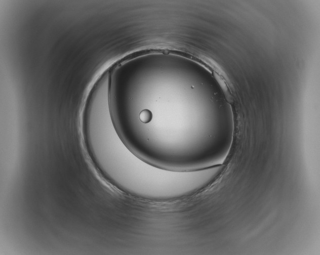 X0000112831128200908281526