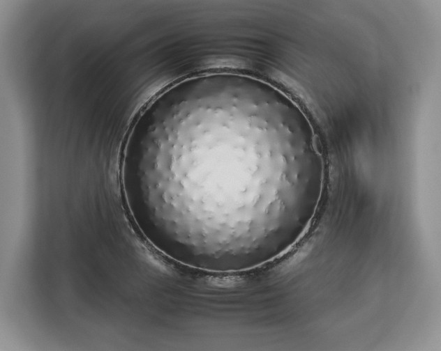 X0000112831129200908281526