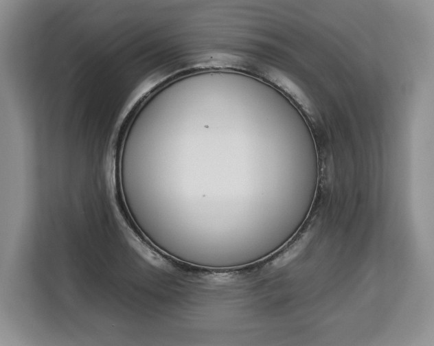 X0000112831130200908281526