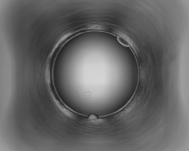 X0000112831131200908281526