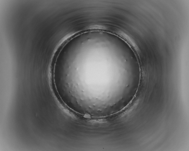 X0000112831133200908281526