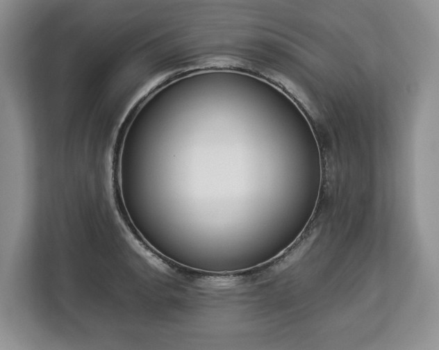 X0000112831134200908281526