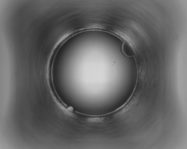 X0000112831135200908281526