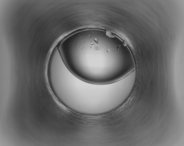 X0000112831136200908281526