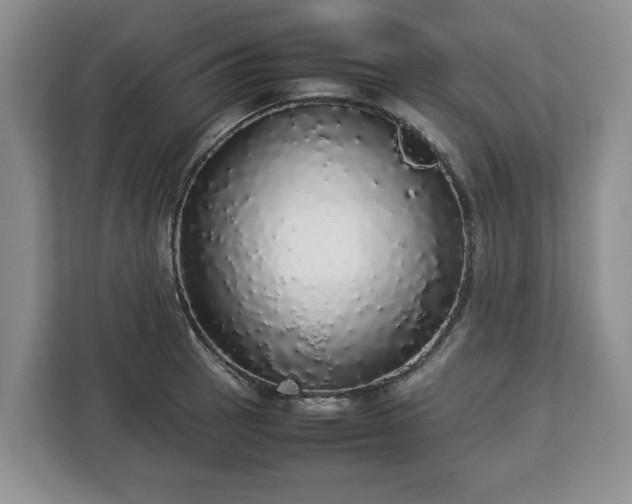 X0000112831137200908281526