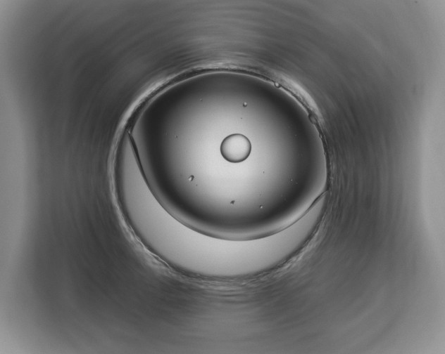 X0000112831138200908281526