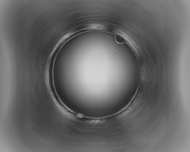 X0000112831139200908281526