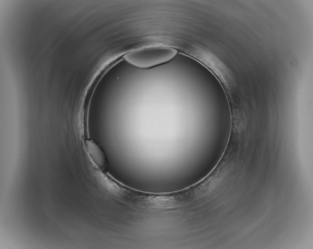 X0000112831140200908281526