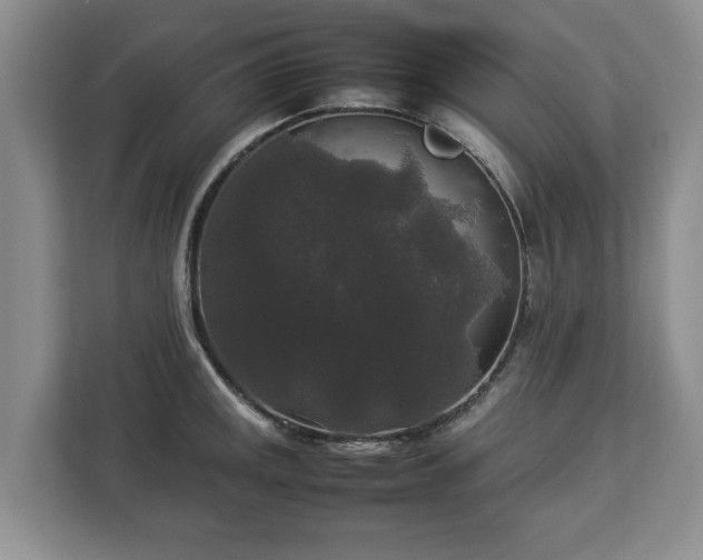 X0000112831141200908281526