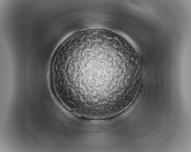 X0000112831142200908281526