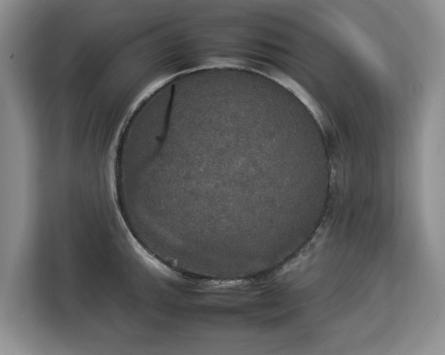 X0000112831143200908281526