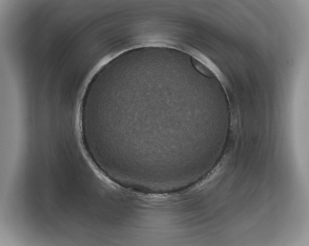 X0000112831144200908281526