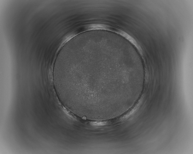 X0000112831145200908281526