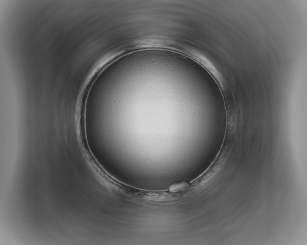 X0000112831146200908281526