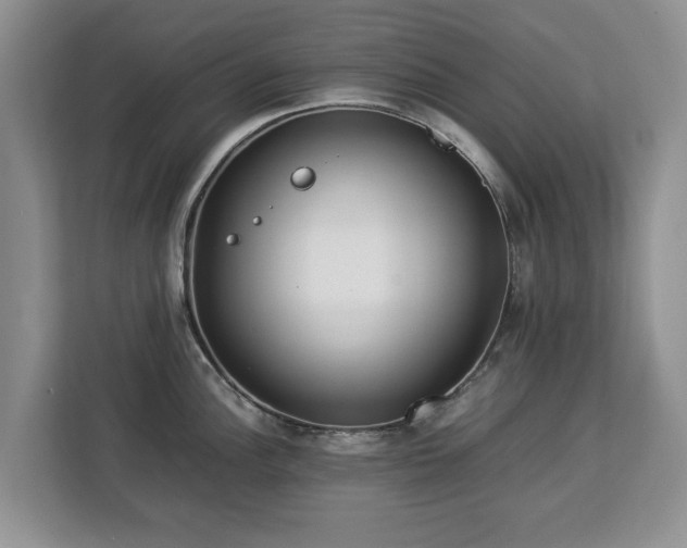 X0000112831148200908281526