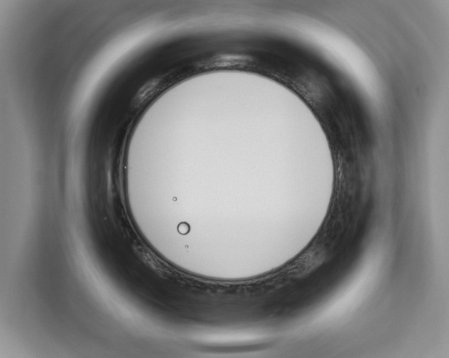 X0000112831150200908281526