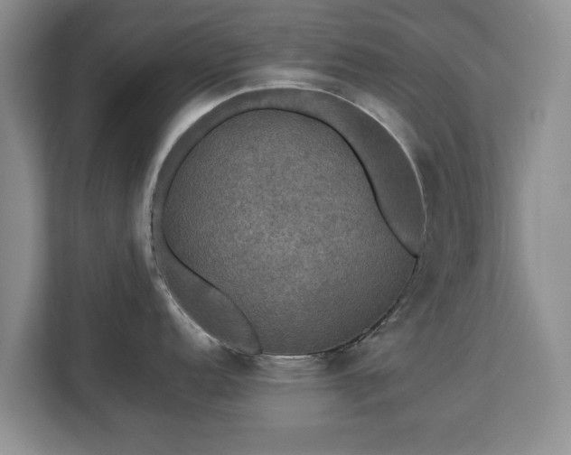 X0000112831152200908281526