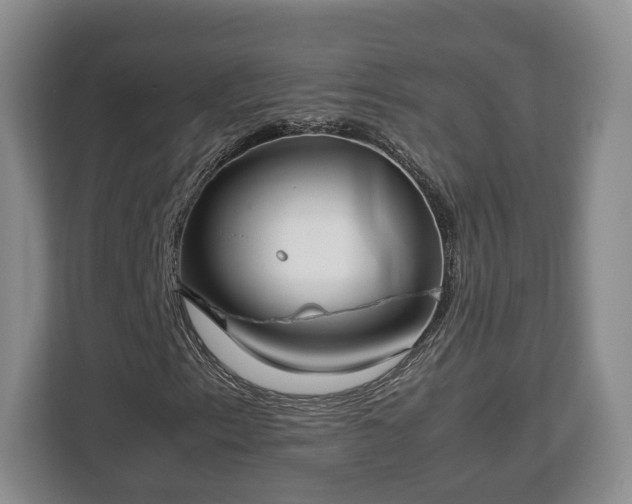 X0000112831153200908281526