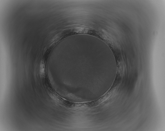 X0000112831154200908281526