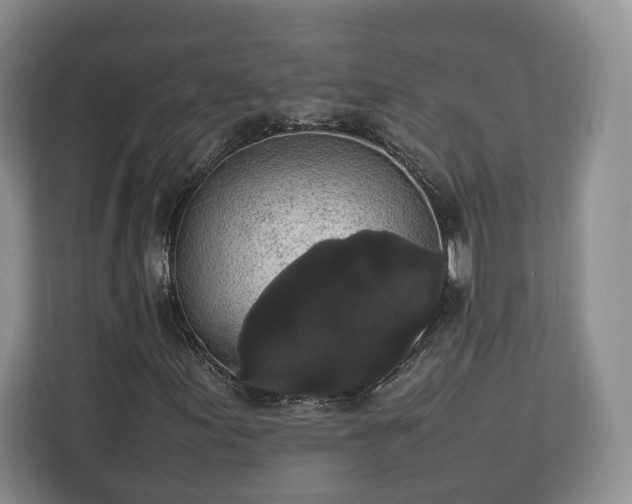 X0000112831155200908281526