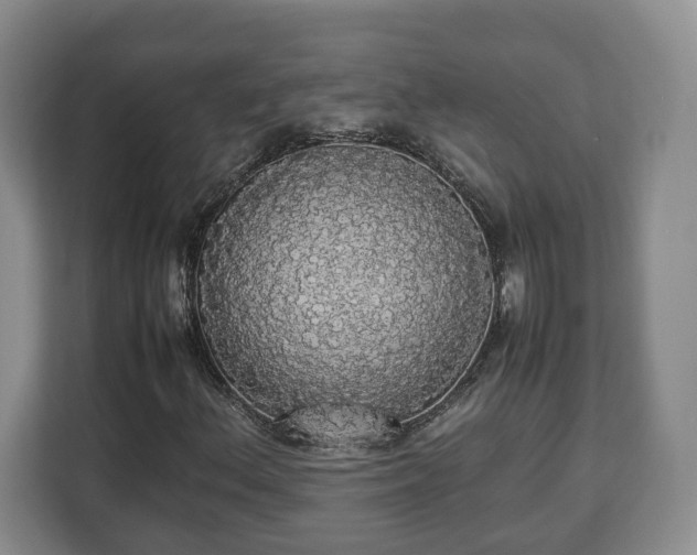 X0000112831156200908281526