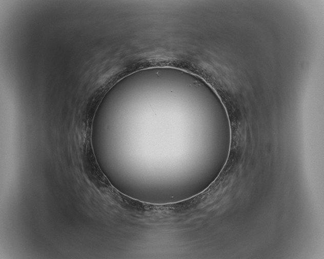 X0000112831157200908281526