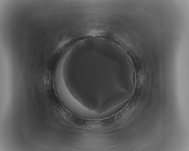 X0000112831158200908281526