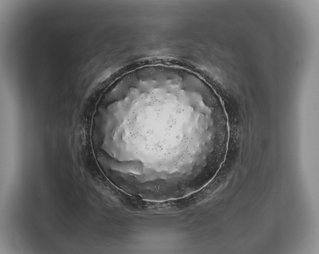 X0000112831159200908281526